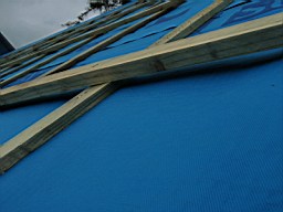 carrowcrory studio-4014.JPG